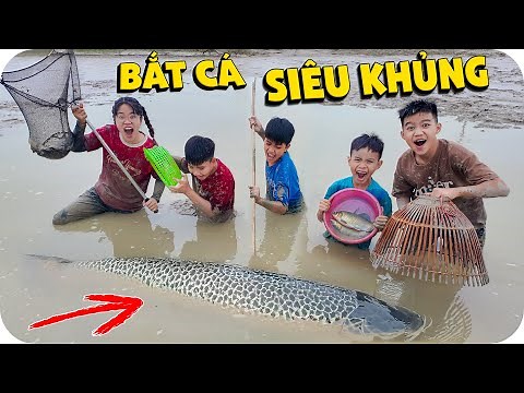 1 Ngày Lội Bùn Bắt Toàn Cá Khủng | Min Min TV Minh Khoa