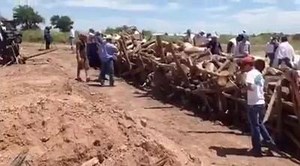 6.1K views · 88 reactions | XIT Rodeo & Reunion 2016 , Dalhart , TX. August 4-6. Produced by Frontier Rodeo Co. Don't miss it !!!! | Frontier Rodeo Company | Facebook