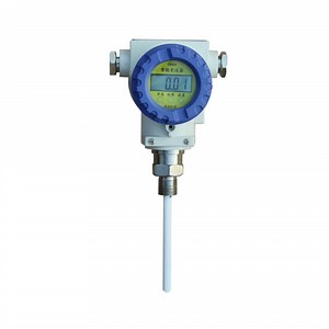 [Hot Item] IP67 IP68 RF Capacitance Level Gauge for Solid Liquid Oil Gas Fuel