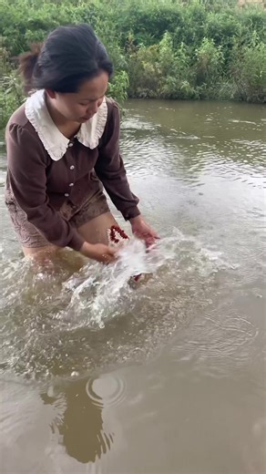 Invasive Ticks and Lice Biting Encounter