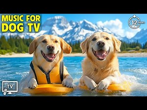 12 Hours of Music for Dogs to Relieve Boredom & Anxiety When Home Alone 🎵 Best Music for Your Dog