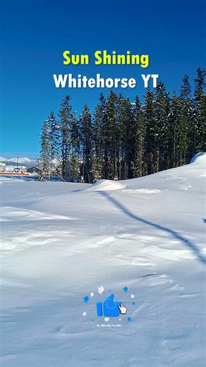 Sun Shining in Whitehorse Yukon 🌞