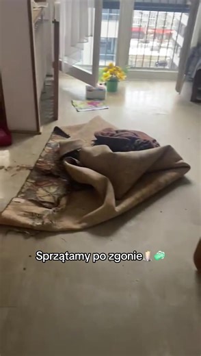 Profesjonalne sprzątanie po zgonie - Vector Usługi