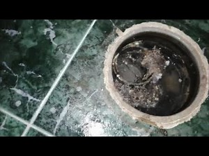 bote sifonico 1