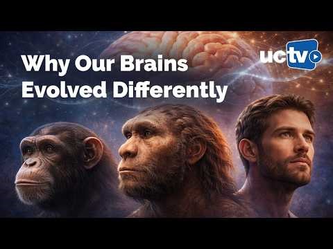 CARTA: The Evolution of the Human Brain through Shifts in Gene Regulation