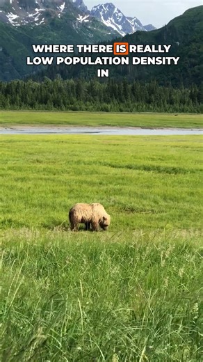 Surplus Funds: Alaska