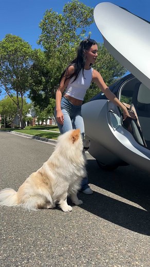 35K views · 1K reactions | Aptera +  =  | Aptera Motors | Facebook