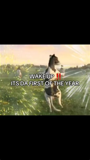 WAKE UP IT'S THE FIRST OF YHE MONTH | #fyp #cow #march #wakeup #meme