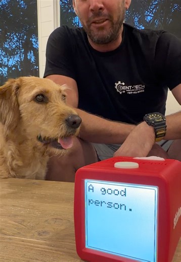 Messing around with Stickerbox! #AI #artificialintelligenceart #chatgpt #grok #cutedogs @Stickerbox