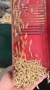 Achieve flawless pelletizing with our robust feed pellet machine, designed to handle multiple feed materials! Whatsapp: wa.me/ 8615866689729 #feedpelletmachine #feedmillpelletmachine #feedpelletmillforsale #pelletmachineforanimalfeed #machine #feed | Pellet Machine Manufacturer