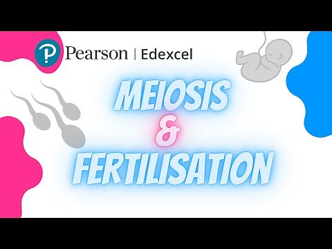 Edexcel IAL Biology Unit 2: Meiosis & Fertilisation