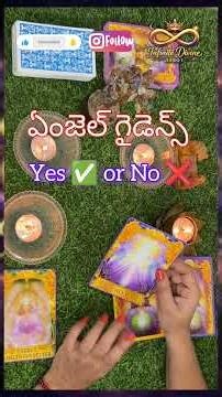 Angel Guidance Yes or No | Infinite Divine Tarot | #angelguidence #divineguidance #universemessages