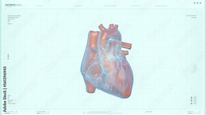Using Futuristic Scan Equipment To Analyze Vessels Of Human Heart Organ. Heart Analyzed For Illness In Futuristic Medical Scan Interface. Futuristic Software Scans Heart Of Patient. Animation