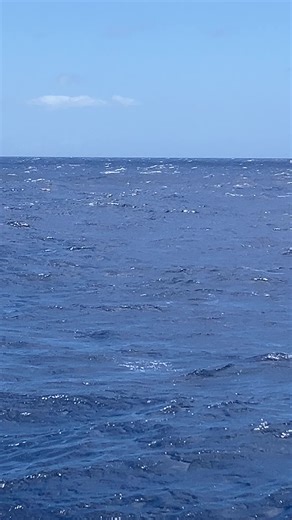 John Allen on TikTok