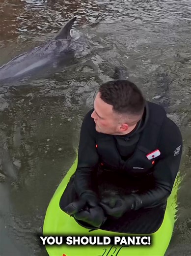 Close Encounter with Sharks While Efoiling in Scotland