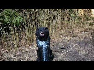 Big Lot's Animated Zombie Wolf Demo!