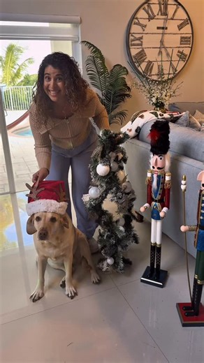 4PLUSONE | Llegó la navidad a la casa de 4plusone. Un mes adelantada pero bueno, eso no importa 🥰 | Instagram