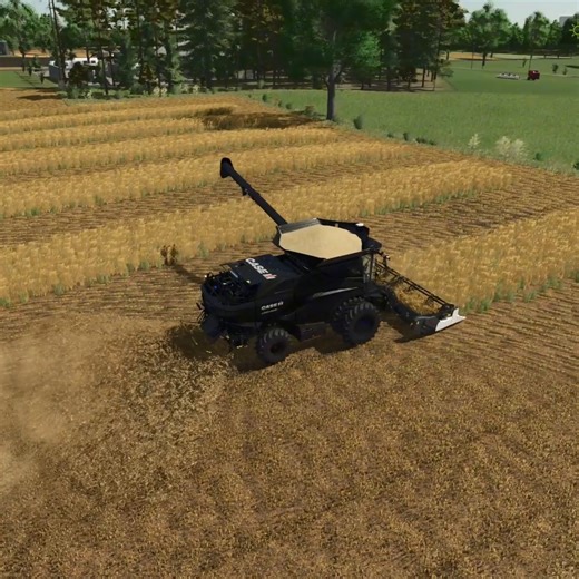 It's harvest time with the new black combine harvester! 😍 #farmingsimulator25 #agriculture #harvest #harvester #farming | Mazarat Gaming