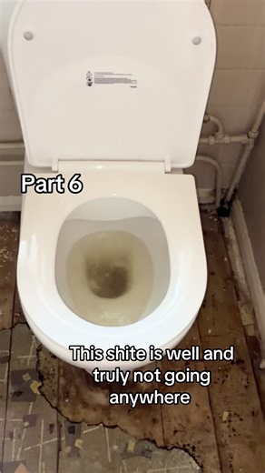 The Salesman Blocked My Toilet – Part 6