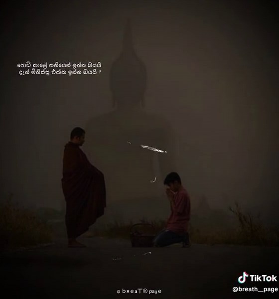 Creative WhatsApp Status Ideas for Engagement