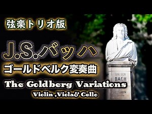 【ゴールドベルク変奏曲・弦楽トリオ版】 J.S.バッハ作曲 The Goldberg Variations for String Trio