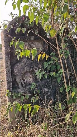 #ishardangadhvi #dayro #bhajan #heritage #historicalplaces #shorts #viralvideo