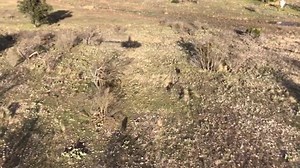 416 reactions · 139 shares | Book your Helicopter Pig Hunt with the best in the business! 28 years experience, full time staff, 1st class lodging and dining. TSH 214-707-5833 your only full time Helicopter Hunting Business. | Helicopter Pig Hunting | Facebook