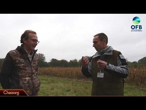 Comment se déroule l'examen du permis de chasser en France en 2021?