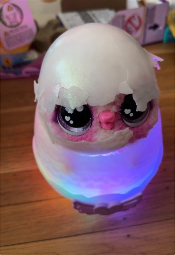 Discover Unique Toys for Kids and Collectors