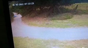 36K views · 307 reactions | Here's the how..... (Colleen Glen) | Port Elizabeth Traffic Updates | Facebook