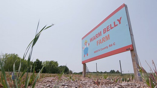 Feel happy. Feel full. Wisconsin Life visits Warm Belly Farm - Cottage Grove, a hydroponic “you pick” operation where strawberries are grown off of the ground in a raised gutter system. Watch more Wisconsin Life at pbswisconsin.org/watch/wisconsin-life/ and on the free PBS app on all digital devices and smart TVs or right here on Facebook! | PBS Wisconsin