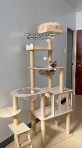 build a 6ft wooden cat condo tower with me 🫶🏻 #cats #catsoffb #catsoffacebook #catreels #catcondo #cattower #cathouse #cattree #catlife #cutecats #catoftheday | TOFU