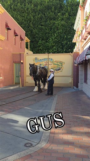 Gus - Disney Horse currently available for a Meet and Greet. Mainstreet - Next to the Fire Station. Disneyland | DisneyFamilyMadness