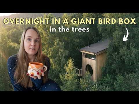 Staying in a Giant BIRD BOX Cabin in Norway