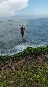 4M views · 94K reactions | Veja o tamanho desta cavala pescada na beira mar. Vídeo feito por Heitor Luz Link do canal do Heitor, "Pé na Pedra": https://youtube.com/channel/UCidDE6N6wUJHs_GBqk6bylQ | Equipe de Pesca Brasil | Facebook