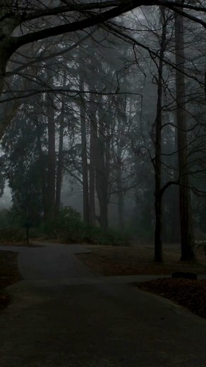 14 reactions | Shadow work is messy. It’s not linear. You think...