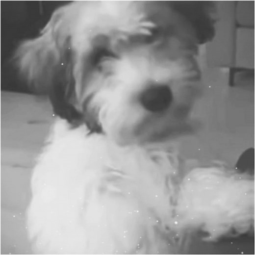 𝜗𝜚˚⋆. #TEDDYBEAR ~ happy 6th (month) birthday teddy!! || youre my little baby