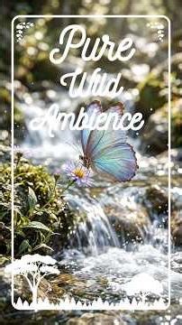 Rainforest Rhythms: Sacred Stream Flow #asmrnature #forestmeditation #healingwater
