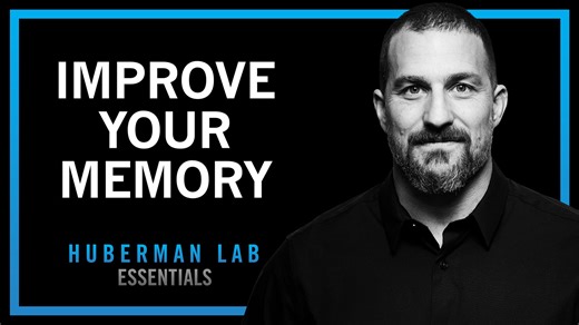 Essentials: Understand & Improve Memory Using Science-Based Tools