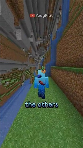 What's The Rarest Drop In Minecraft?