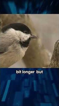 One ON1 with Scott Kelby: Resize AI Is Now Integrated Into ON1 Photo Raw 2026