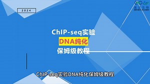 ChIP-seq实验DNA纯化保姆级教程分享