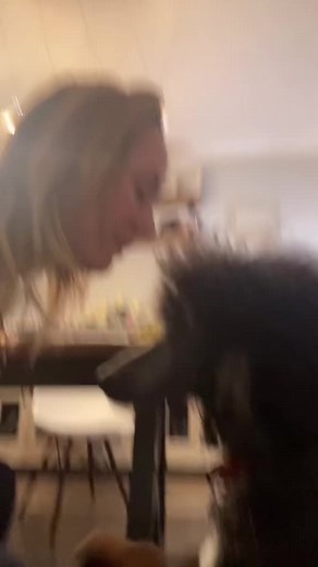 Brett Rossi (@brettrossi01)’s videos with original sound - Brett Rossi