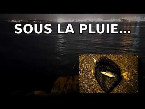ASMR Pêche sous la pluie 🌧️ Sons apaisants de la mer + Dorade royale