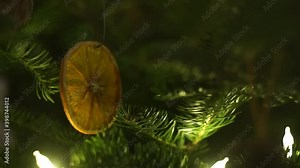 Homemade dried orange Christmas ornament hanging on real traditional Christmas tree