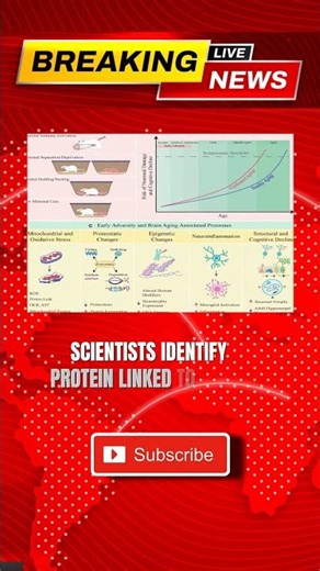 Unlocking Youthful Brain Function: Discovery of Key Age-Related Protein