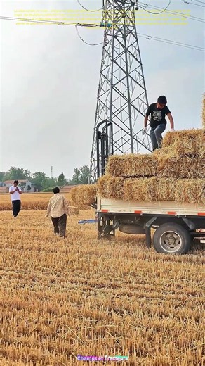 Le monte - chargeur de bottes de paille en action : Comment cette machine simplifie la récolte ?