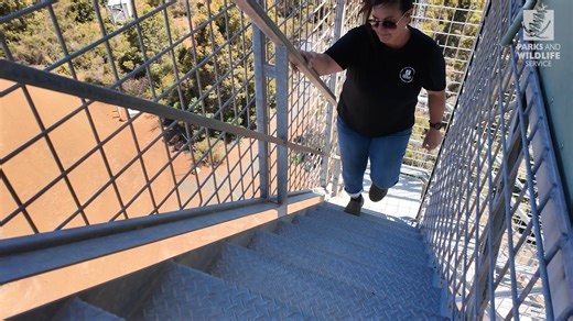 15K views · 241 reactions | 헪헵헲헿헲 혁헵헲헿헲’혀 혀헺헼헸헲… 현헲 혀헲헲 헶혁  From...