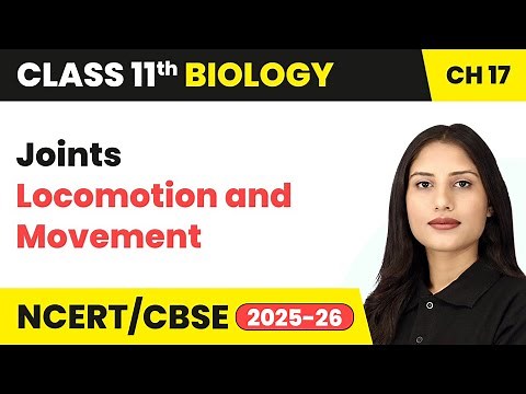 Joints - Locomotion and Movement | Class 11 Biology Chapter 17 | CBSE 2025-26