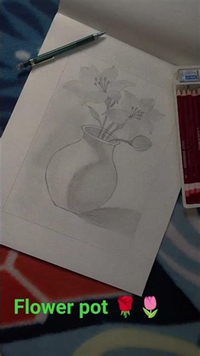 flower pot 🌷🌹 sketch #drawing